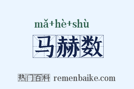 马赫数是什么意思的图片
